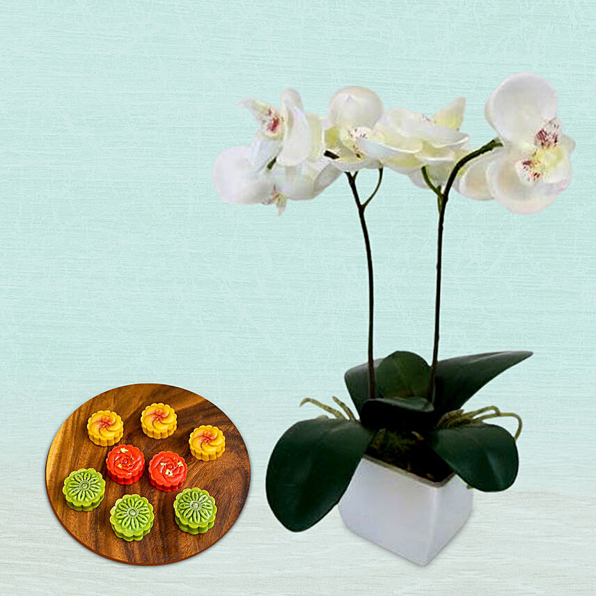 Mini Assorted Mooncakes With Two Stem Orchid Plant