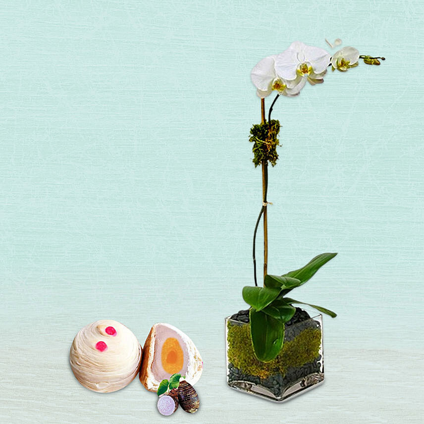 Single Yolk Teochew Mooncake With White Moth Orchid Plant