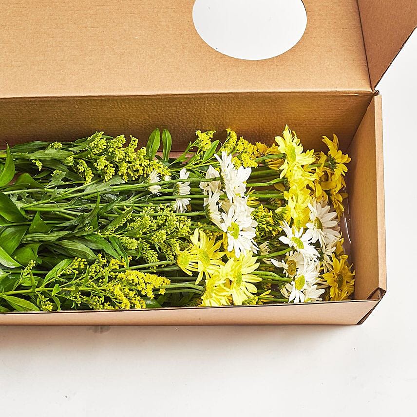 Blooming Mixed Chrysanthemums Box