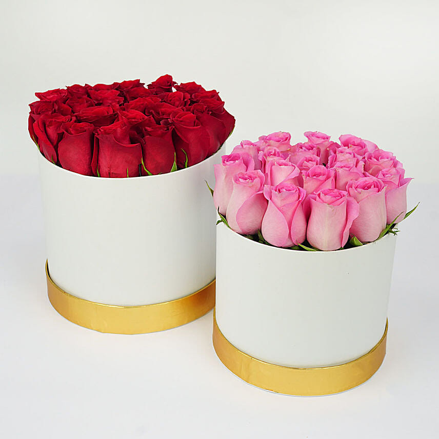 Red And Pink Roses Allure In Round Boxes