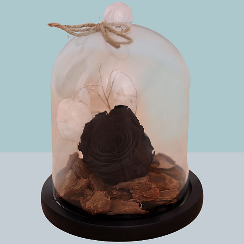 Black Forever Rose In Glass Dome For Valentines Day