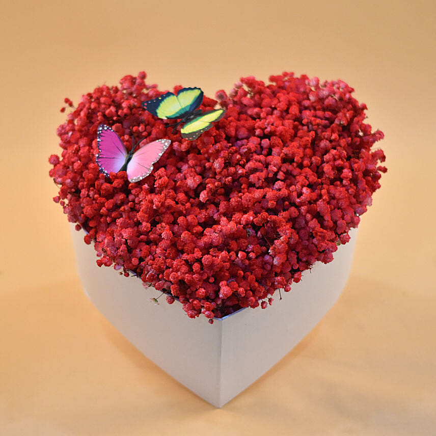 Red Baby Breath Heart Shaped Box