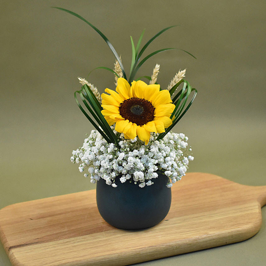 Sunflower & Baby Breath Designer Vase