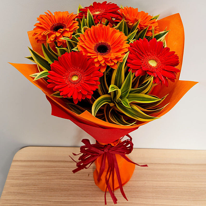 Blush Gerberas Bouquet