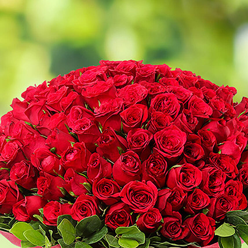100 Red Roses Delivery in Singapore - FNP SG