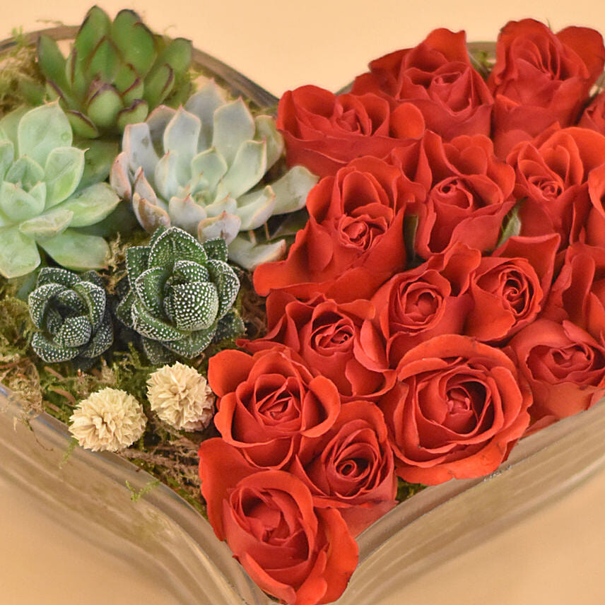 V Shape Roses Red Roses & Succulents Heart Shaped Vase Delivery in Singapore - FNP SG