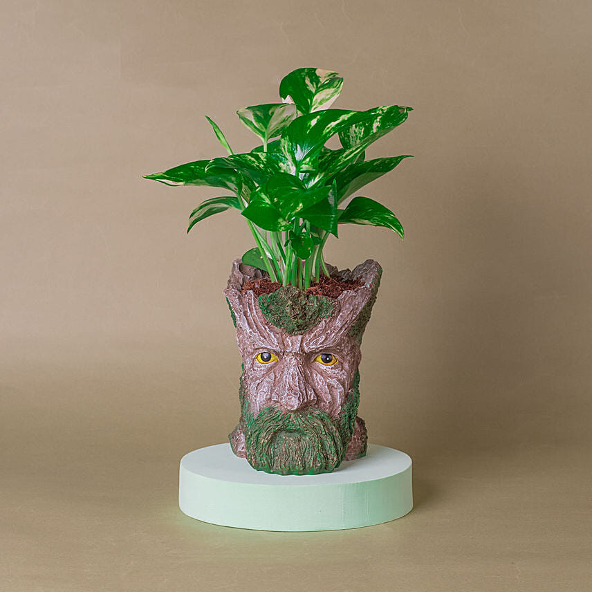 Money Plant Tree Man Pot