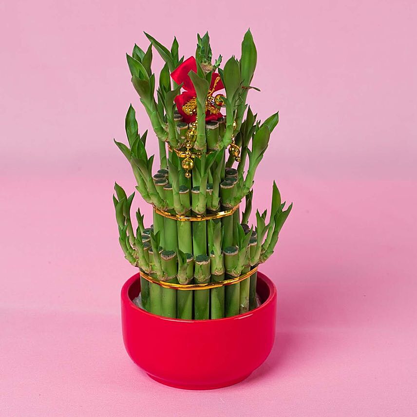 3 Layer Bamboo In Chinese New Year In Red Pot
