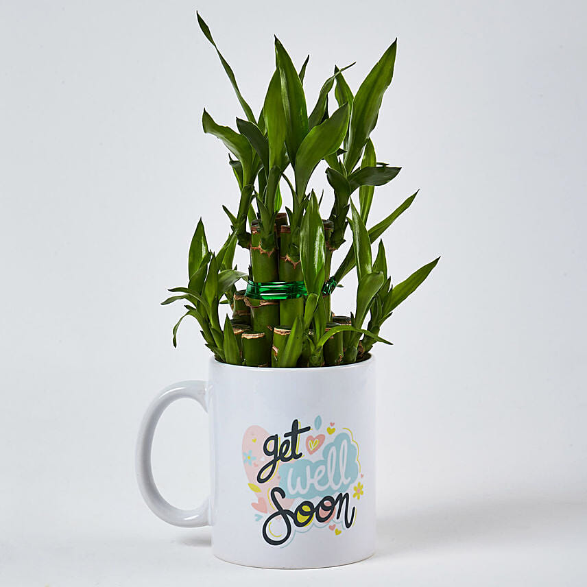 Bamboo Plant In Get Well Soon Mug