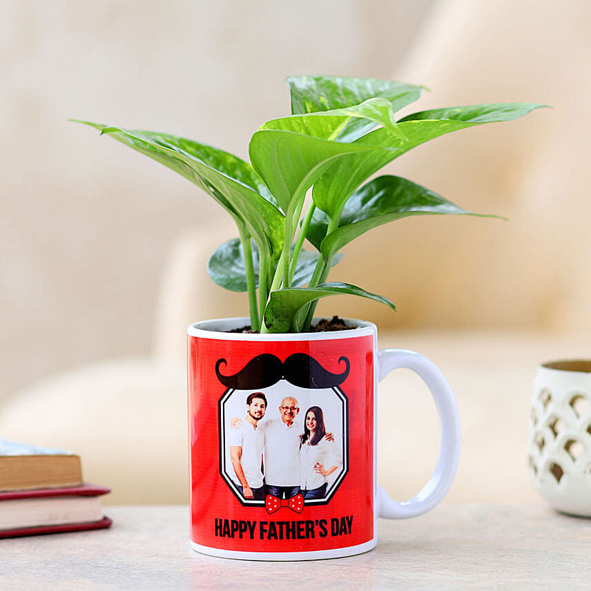 Money Plant In Personalised Mug For Dad