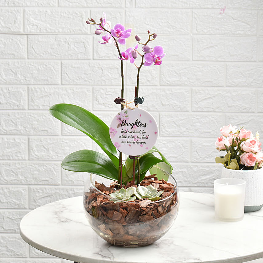 Love For Daughter Orchid Plant Arrangement