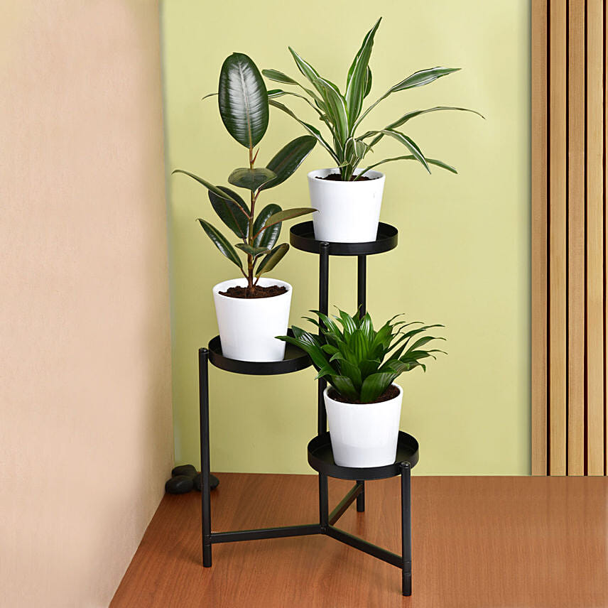 Love of Shade Plant Stand