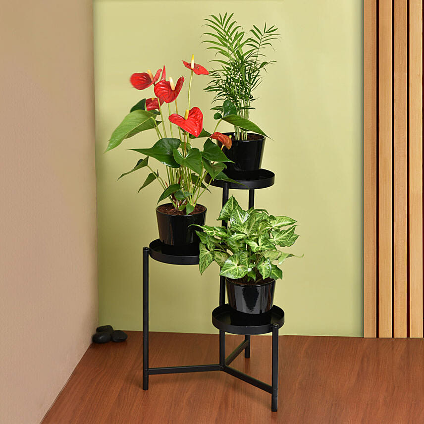 Natures Elegance Plant Stand