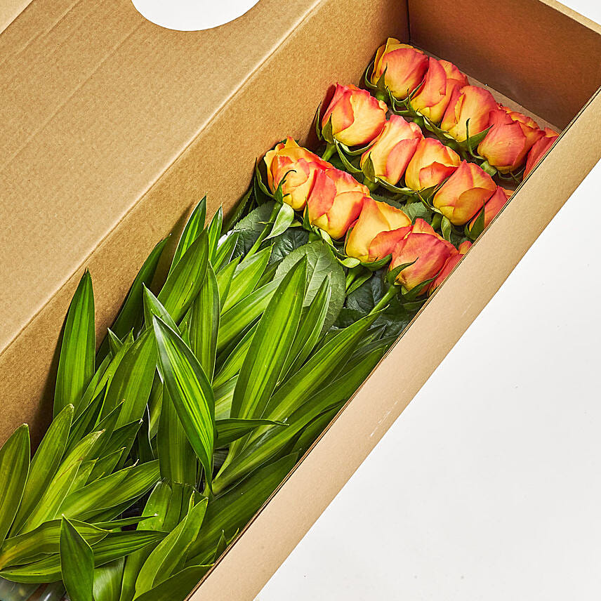 Weekly Subscription Colors of Roses Delivery in Singapore - FNP SG