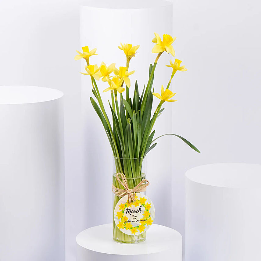 Daffodils Flower Arrangement for Birthday
