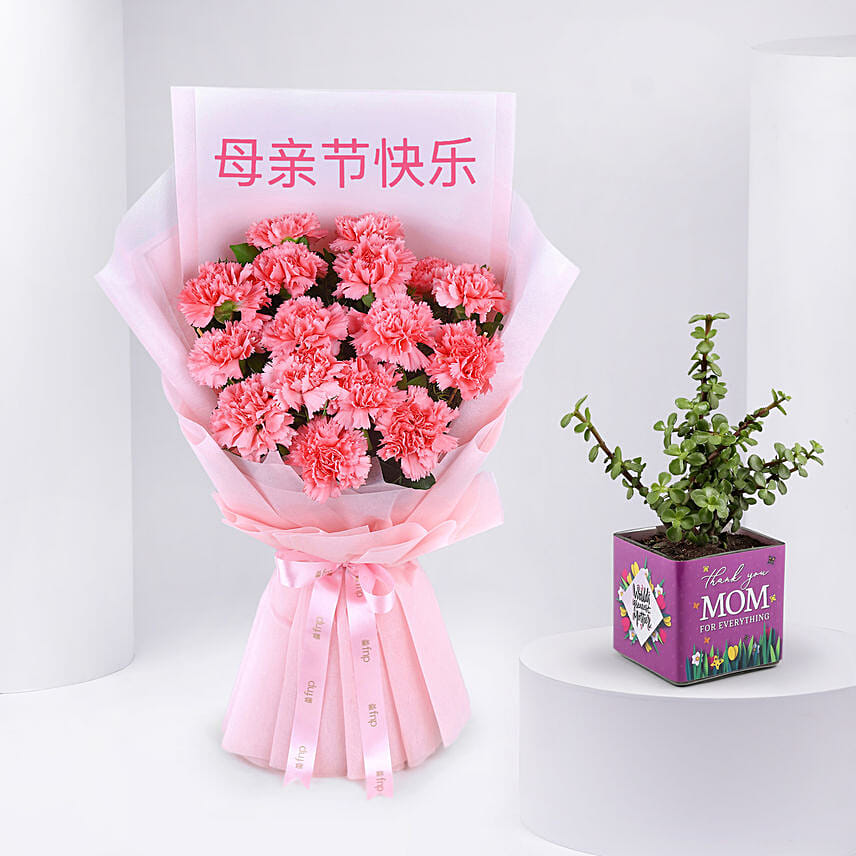 Mothers Day Carnation Flowers with Jade Plant