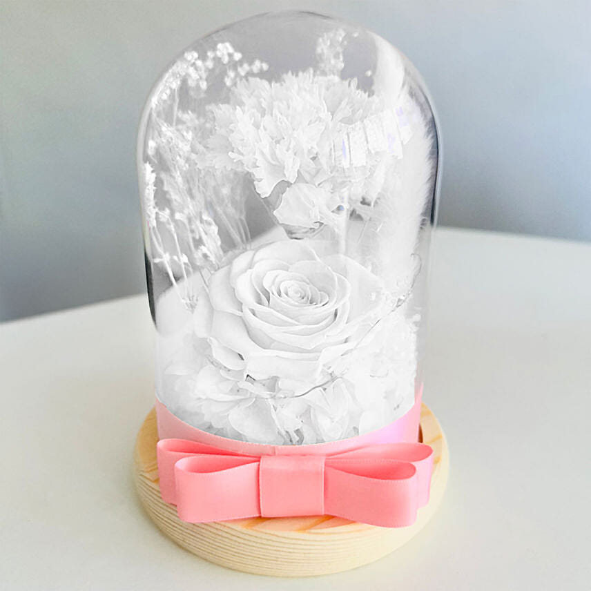 Vday White Forever Roses in Dome