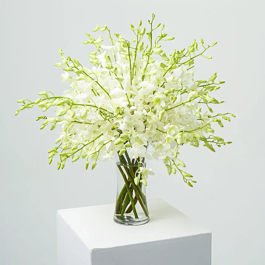 40 White Orchid Arrangement: Orchid Bouquets