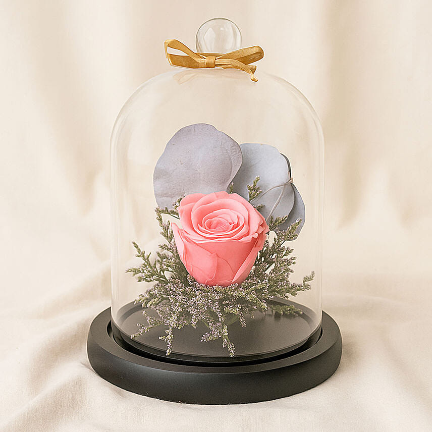 Forever Rose In Glass Dome- Pink: 