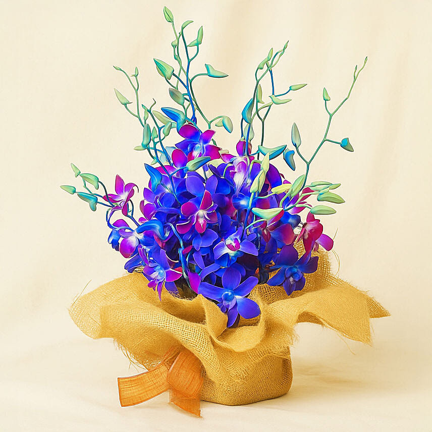 Gorgeous Orchids Arrangement: Anniversary Flowers
