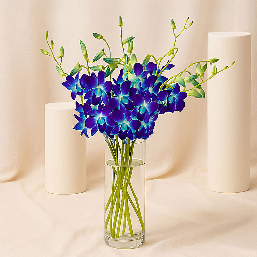Mesmerizing Blue Orchids: Birthday Flower Arrangements