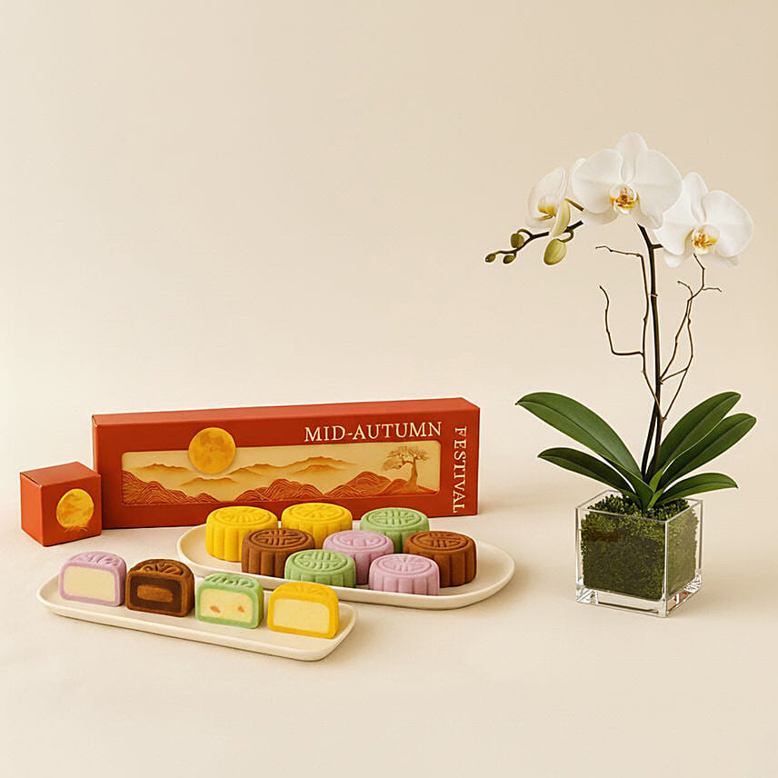 Mid-Autumn Snowskin Mooncake Box of 8 with White Orchid Plant Gift Set: Mooncake Delivery Singapore