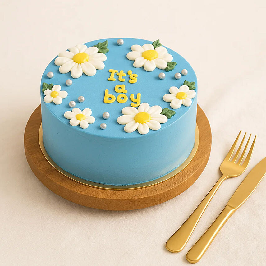 Its A Boy Cake: Baby Shower Gifts