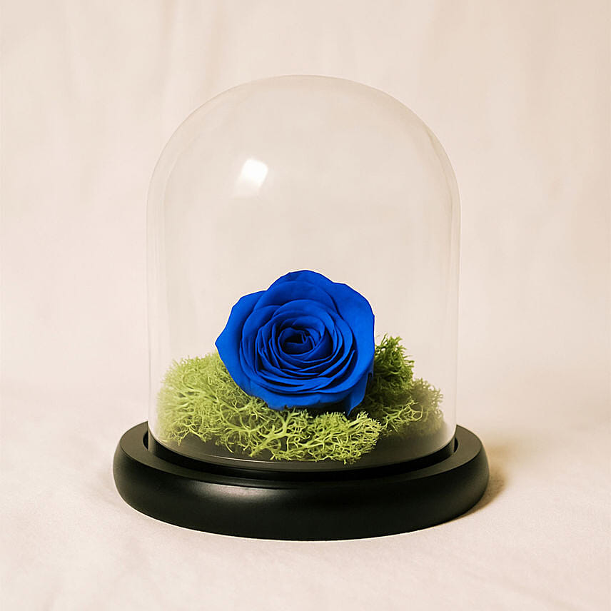 Elegant Blue Rose: Forever Roses