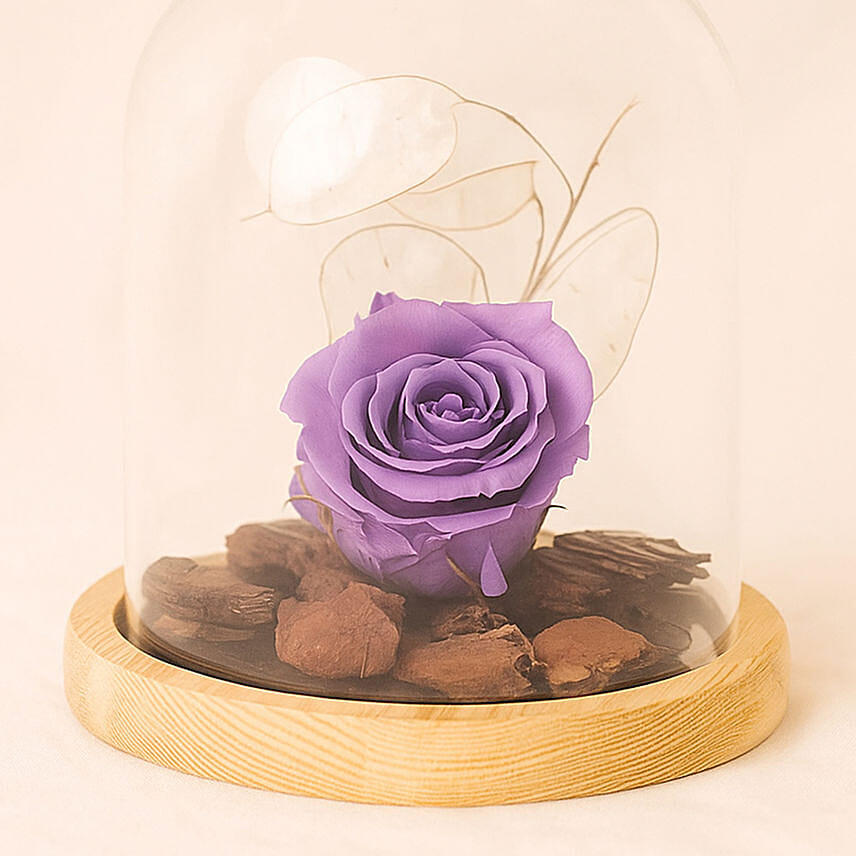 Forever Rose In Glass Dome- Purple Delivery in Singapore - FNP SG