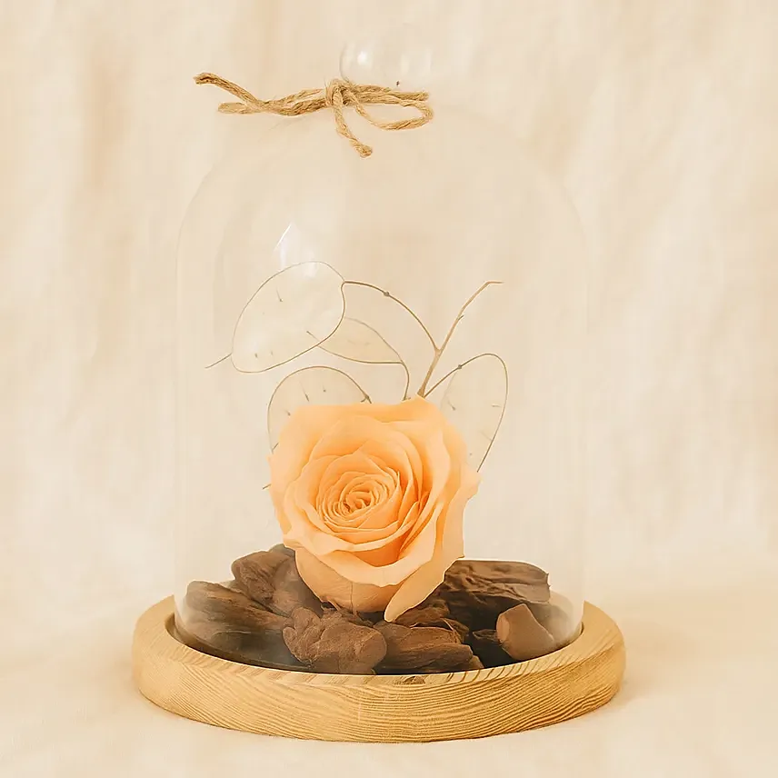 Peach Forever Rose In Glass Dome Peach Forever Rose In Glass Dome: I Miss U Flowers