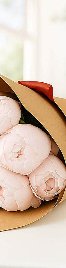 10 Light Pink Peonies Bouquet