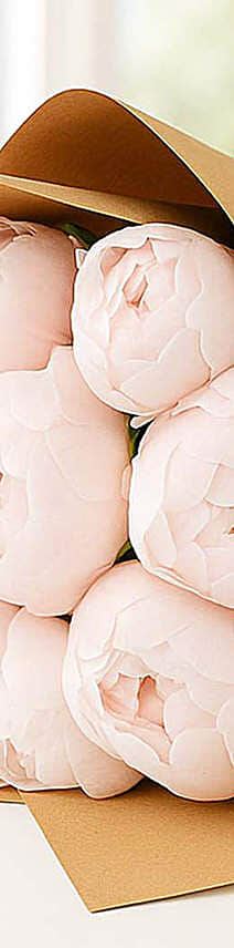 10 Light Pink Peonies Bouquet