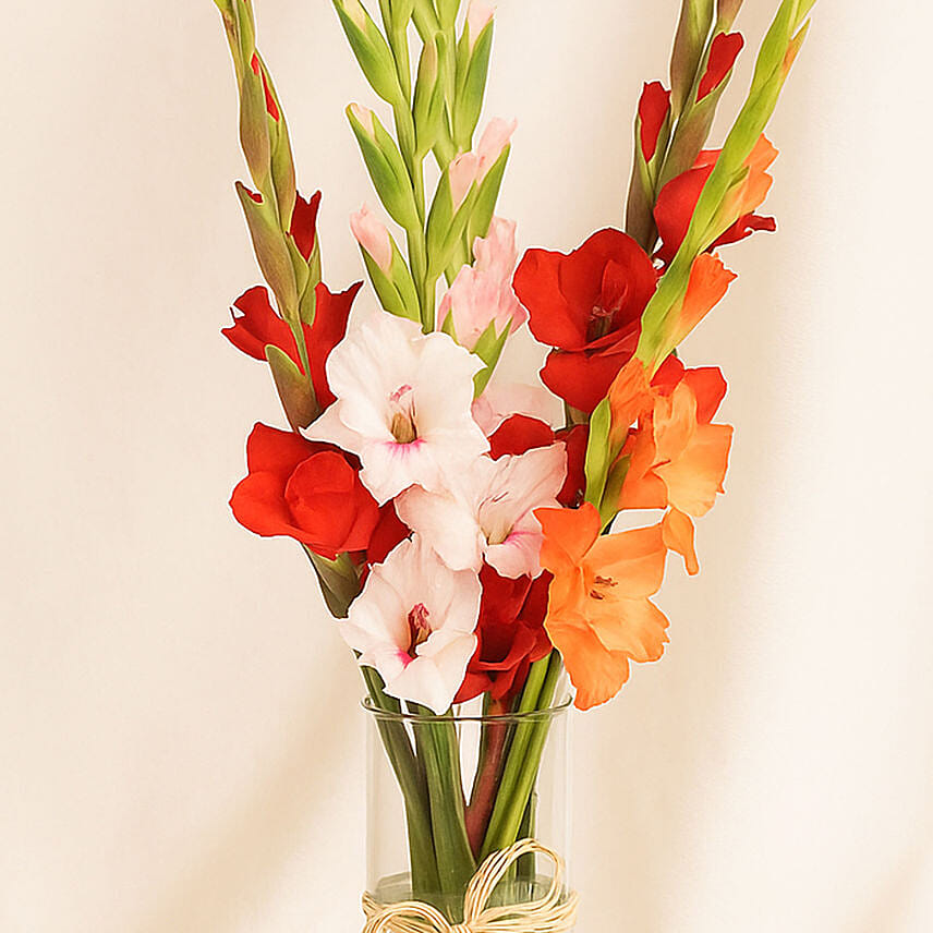 Gladiolus Charm Arrangement
