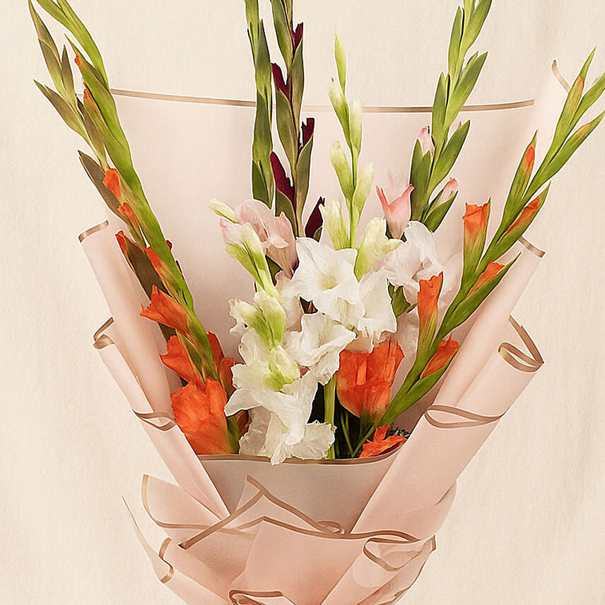 Gladiolus Elegance Bouquet