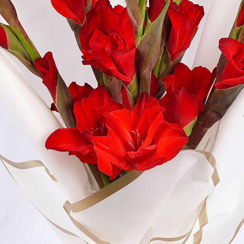 Red Gladiolus Bouquet