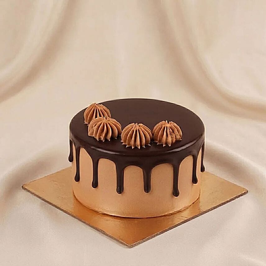 Special Choc Choc Cakes Gift