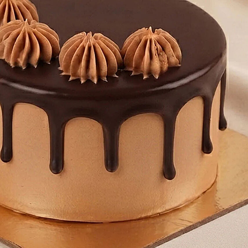 Special Choc Choc Cakes Gift