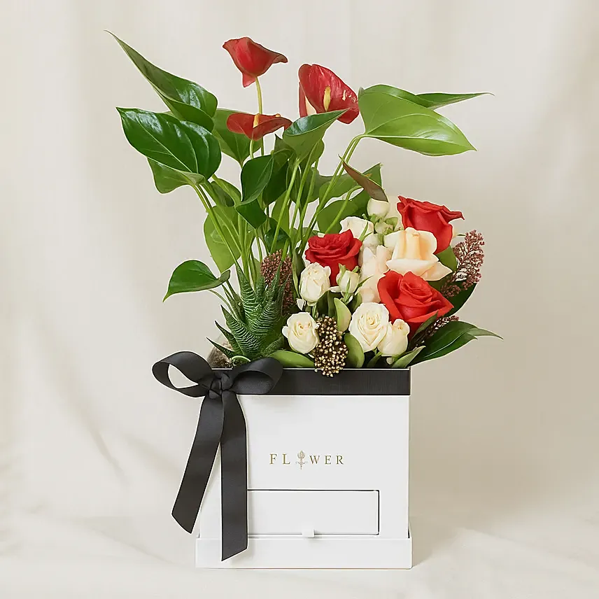 Flowers and Plants Box: For Birthday