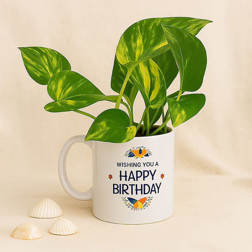 Money Plant In Happy Birthday Mug: 