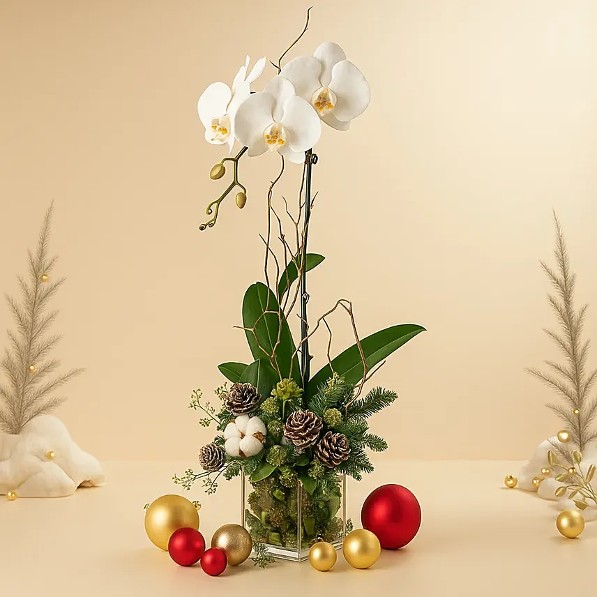 Willow Valley Christmas Arrangement: Christmas Gifts for Family