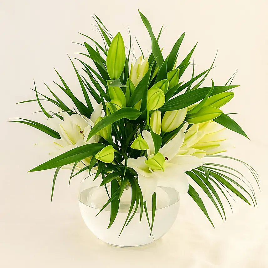 Lilies Happiness Arrangements: White Colour Flowers
