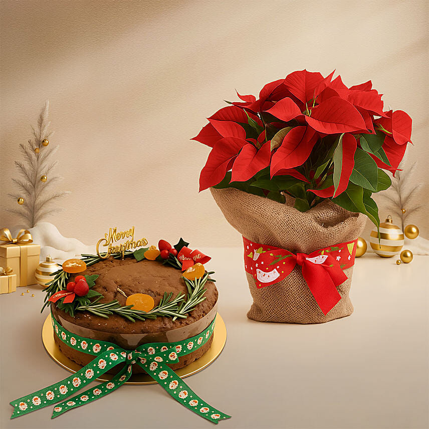 Poinsettia Plant in Natural Jute & Festive Plum Cake: Plum Cakes