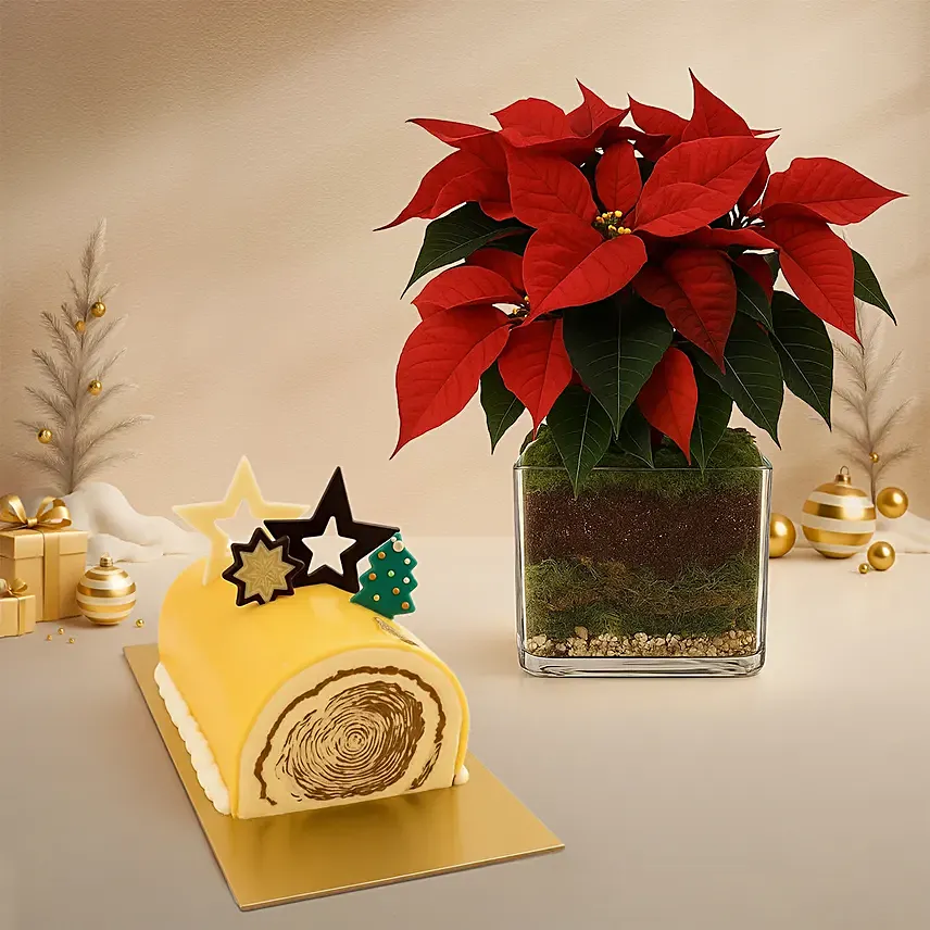 Poinsettia Plant and Mango Passion Log Cake: Christmas Trees Singapore
