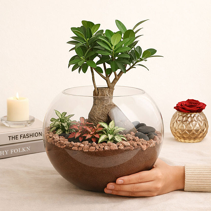 Bonsai Pot Paradise: Last Minute Gifts Delivery Singapore