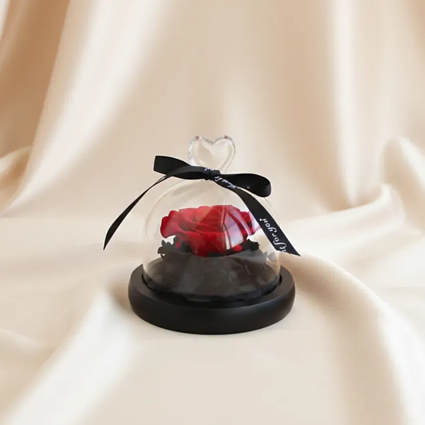 Forever Red Rose in Glass Dome: Valentine's Gifts for Him