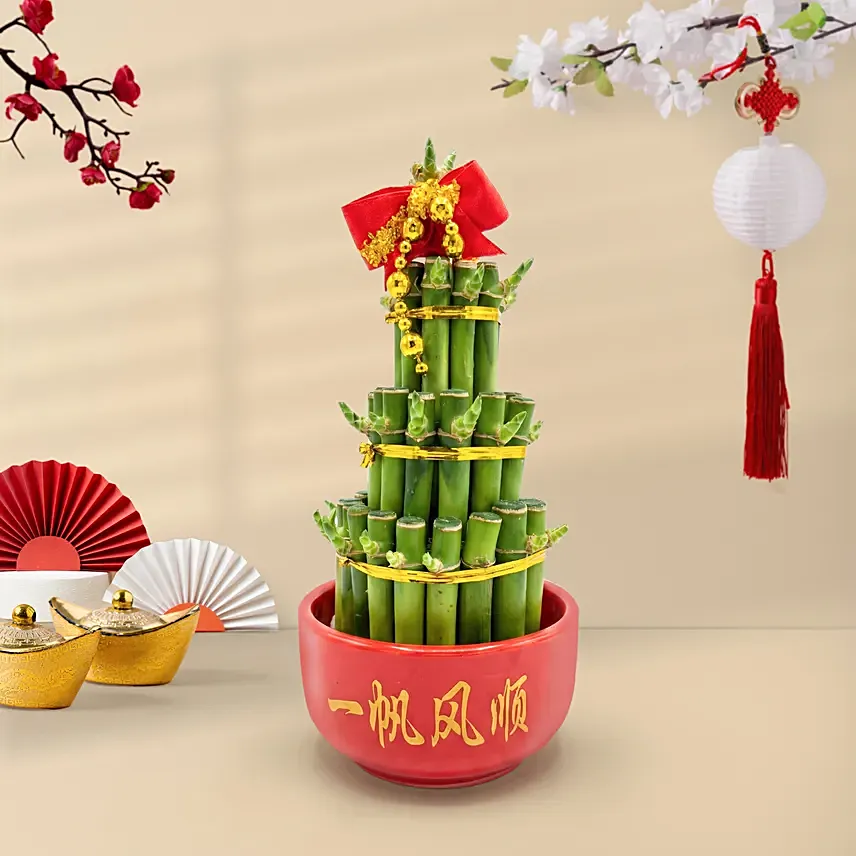 3 Layer Bamboo In Chinese New Year Theme Pot: Chinese New Year Plants