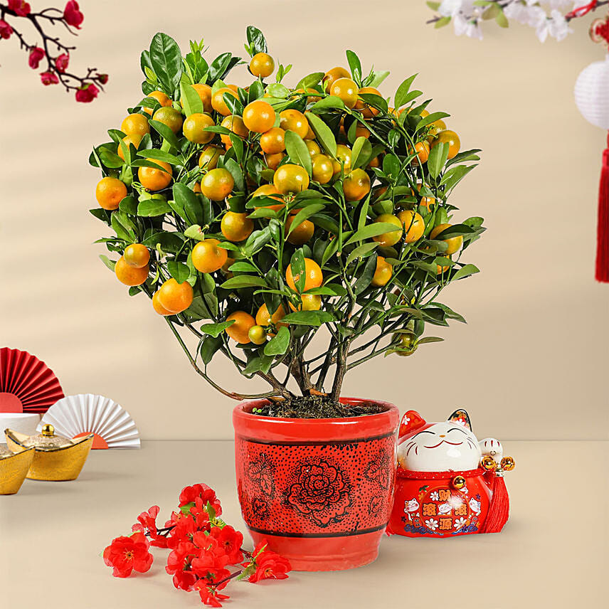 Orange Tree Pot: 