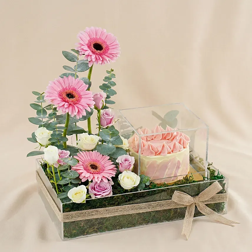 Pink Gerbera & Red Velvet Cake Gift Combo: Boss Day Gift Ideas