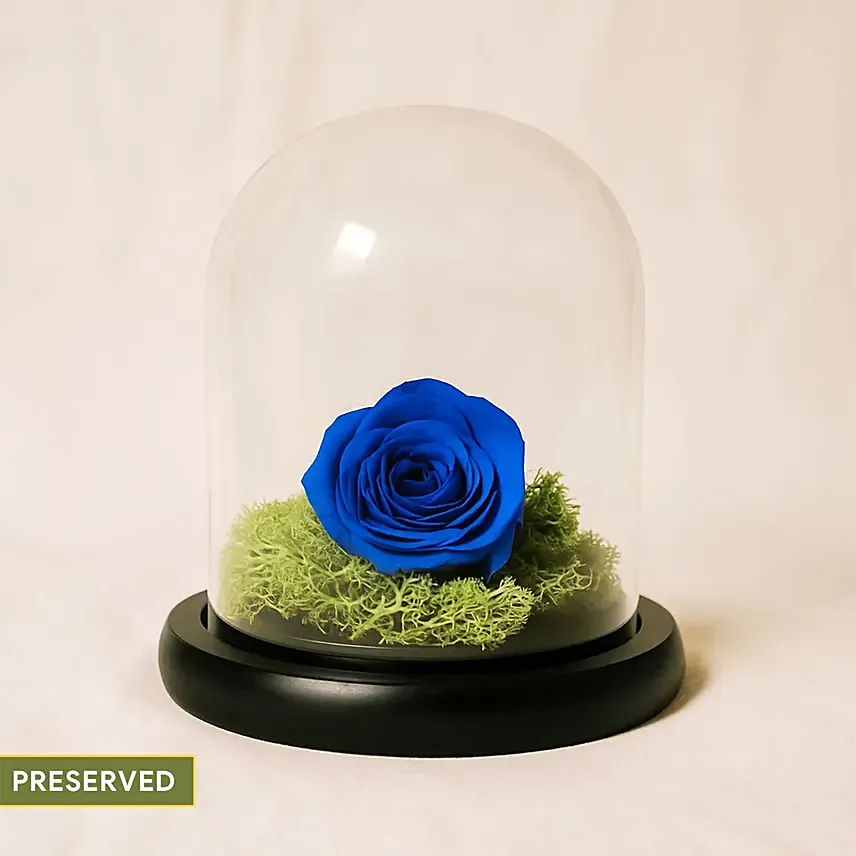 Elegant Blue Rose: Blue Flowers