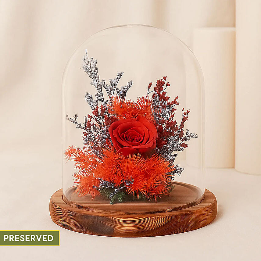 Forever Rose In Glass Dome: Congratulations Gifts